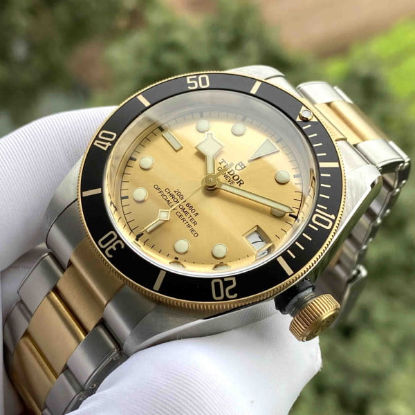 Tudor Black Bay 18k Gold Hertitage 79733N 41mm